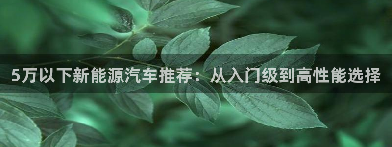 球盟会手机网页版:5万以下新能源汽车推荐 球盟会手机网页版:5万以下新能源汽车推荐